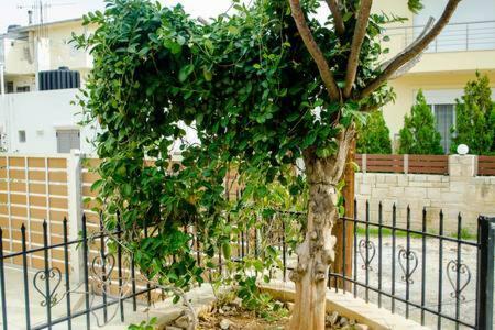 Agia Pelagia Sun By The Sea 2 아파트 외부 사진